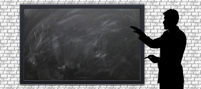 91 免费网站官方版免费下载-91 免费网站最新appv.23安卓版_oservo安卓网截图