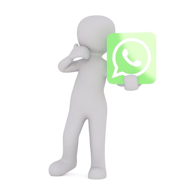 emc易倍体育官网app