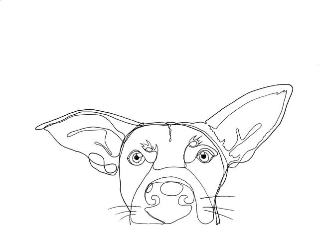 模拟城市我是市长2019破解版