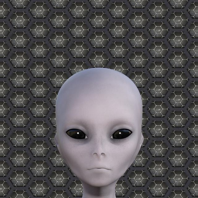宝藏猎人手游最新版下载-宝藏猎人安卓最新版v1.1.4-量产资源网