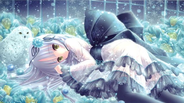 波音飞机模拟飞行