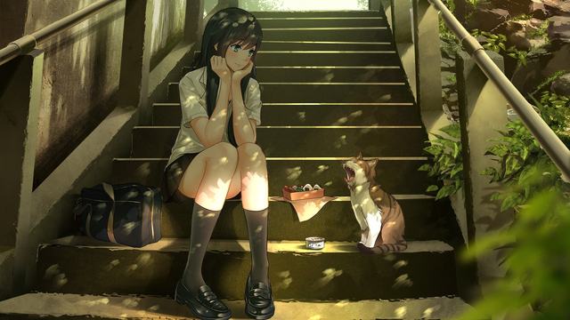盈盈彩APP下载