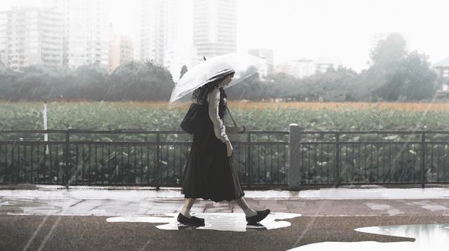 最新微博：2026 年 5 月 23 日
