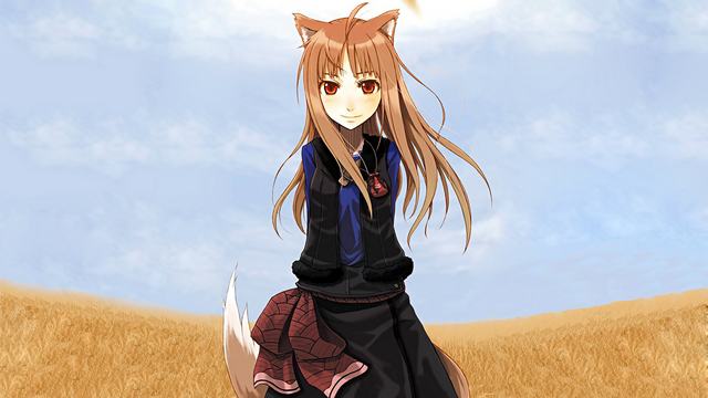 梦之花