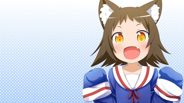 梦之花